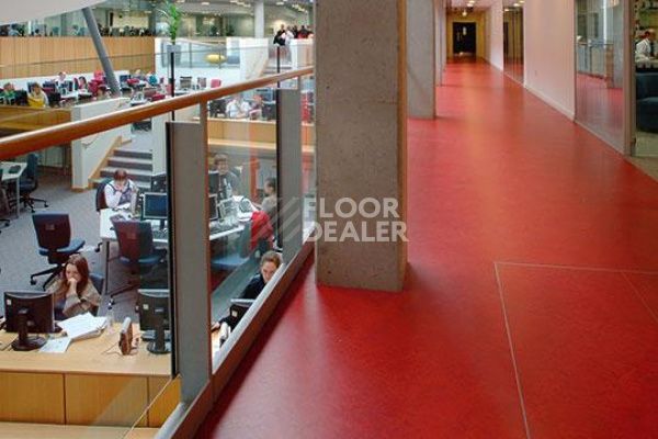 Линолеум Marmoleum Decibel on Order 313135 scarlet фото 1 | FLOORDEALER